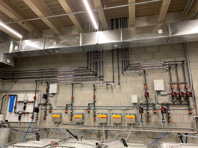 réseau ditribution produits chimiques